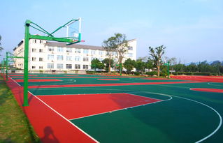 象州塑胶球场价格是多少,象州硅pu报价,象州塑胶球场施工铺设厂家高清图片 高清大图