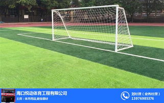 海南悦动健身器材——专业体育与健身器材的优质供应商